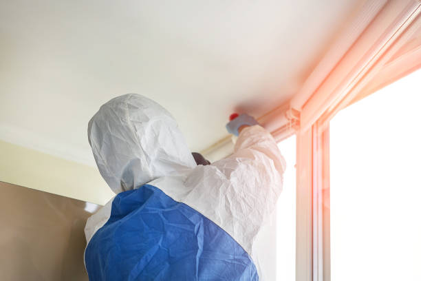 Trusted Mcarthur, OH Mold Removal Experts